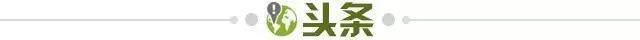 【早报】4连杀！切尔西吃饭睡觉打热刺！